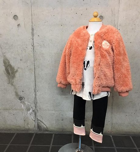 15825825_1189549267830494_7164776858780112764_n