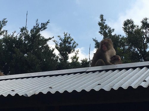 15894886_1194090530709701_2217833799330709931_n