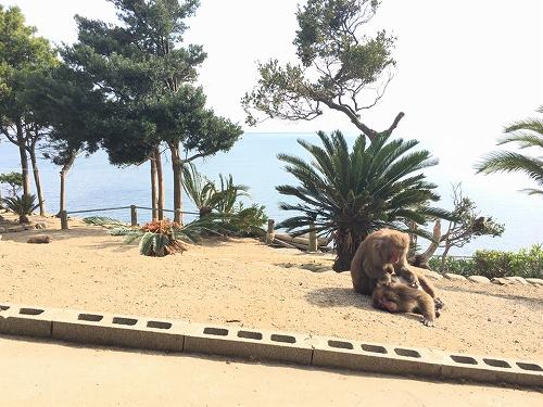 15940394_1194090507376370_952822445301424577_n