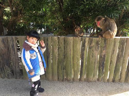 15965248_1194090564043031_6859664557919229770_n