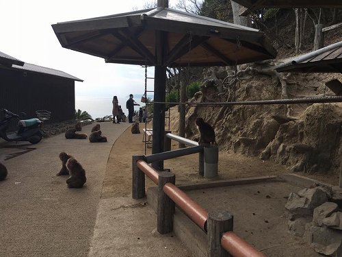 16105653_1194090550709699_8478909626671616921_n