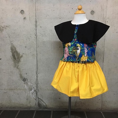 16195720_1208763042575783_5487705436524139135_n