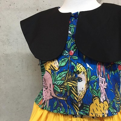 16266256_1208772182574869_2719930195841043159_n