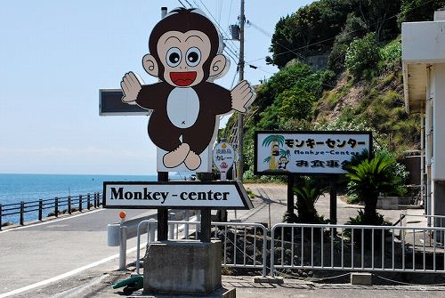 monkey-center_01