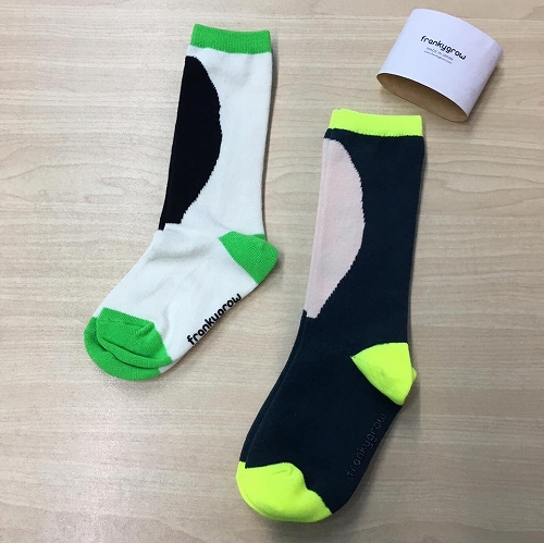 16602915_1221846404600780_168639966406915578_n