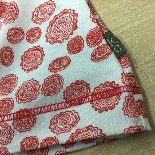 16681484_1230414877077266_4939822248612863341_n