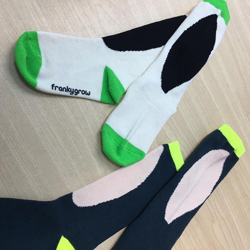 16681823_1221846377934116_3304414267426193086_n