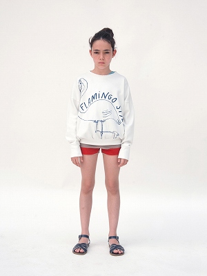 01141642_5879d66442abe