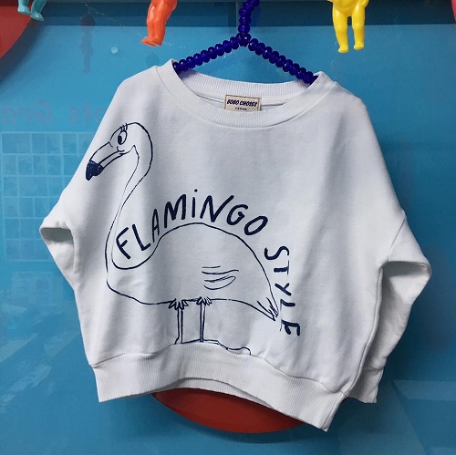 17022487_1242662812519139_345267503324660677_n