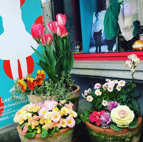 17098535_1243632432422177_4262921372380046421_n