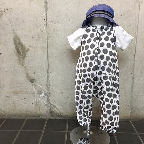 17458338_1271051819680238_3934021182497392163_n