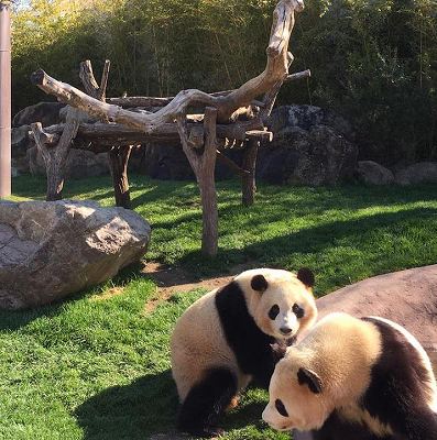 17523674_1279877692130984_2887766512553126032_n