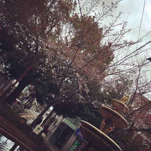 17553479_1273072712811482_2621087732122228085_n