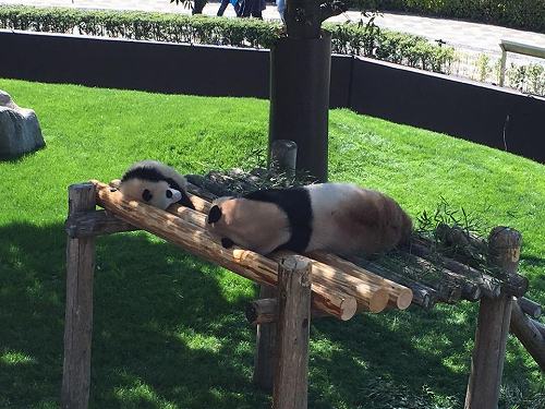 17760025_1279880258797394_5264346141885629662_n