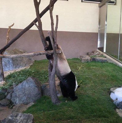 17796463_1279877682130985_4107543768530415571_n