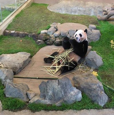 17796603_1279877678797652_5401642885804644897_n