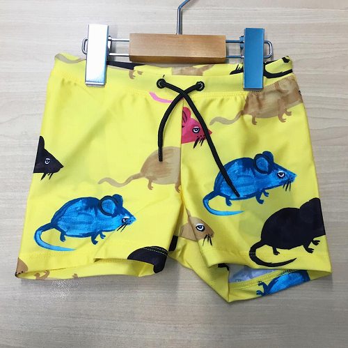 17799273_1278654648919955_5004732516427382246_n