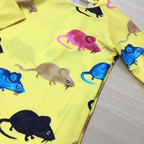 17799979_1278654625586624_3953770319419838271_n