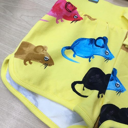 17903739_1288743071244446_2319280100289247156_n