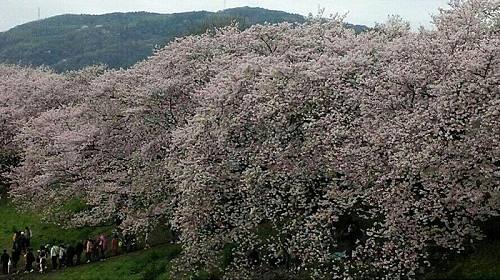 IMG_20170411_160705-700x392