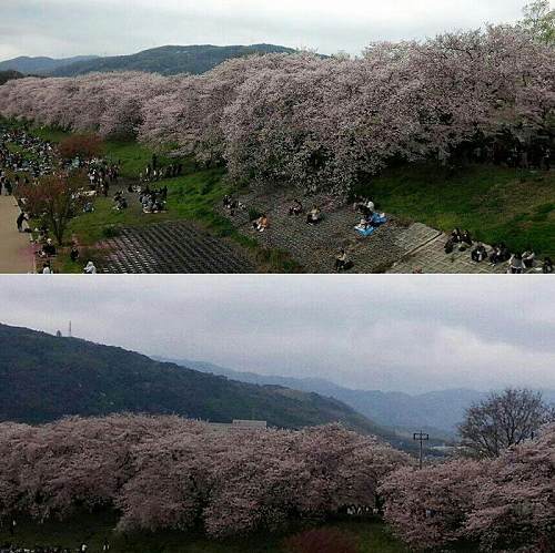 IMG_20170411_161224-700x699