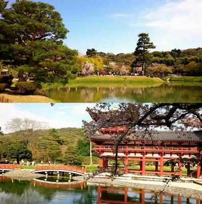 IMG_20170418_162814-700x705