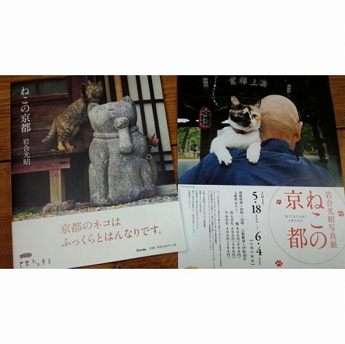 IMG_20170529_151019_534-700x700