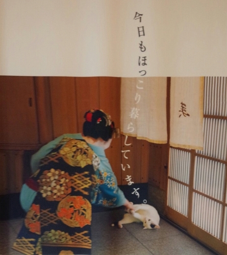 IMG_20170531_165634-700x786