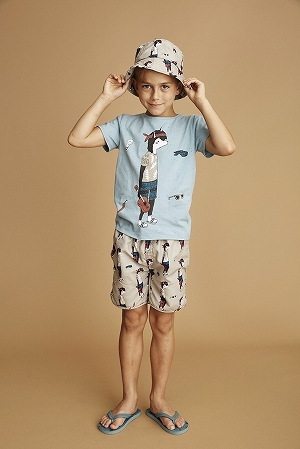 03041133_58ba275c905b9