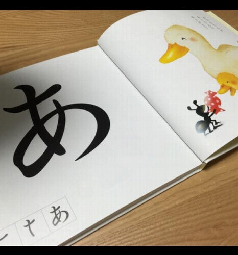 19437735_1367262793392473_1334646443681898490_n