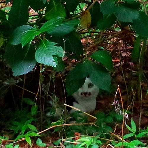 IMG_20170619_120435_697