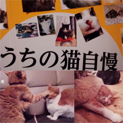 PhotoGrid_1497331826831-700x700