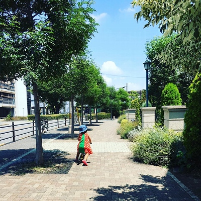 20953049_1413014288817323_163464451422224484_n